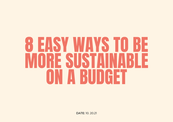 8 Easy Ways to be More Sustainable on a Budget